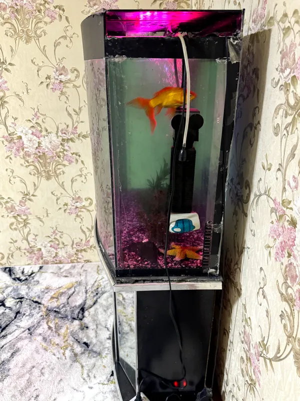 AKVARIUM 150L sotiladi 5