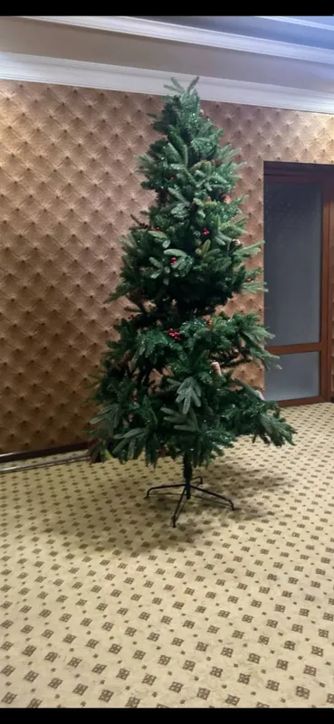 Archa Ёлка