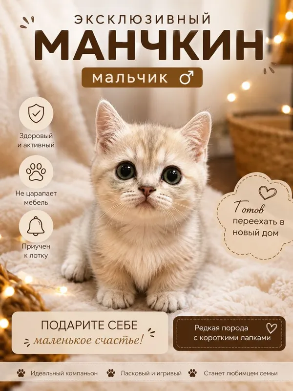 Летняя цена , Манчкин 2 Летняя цена , Манчкин 2