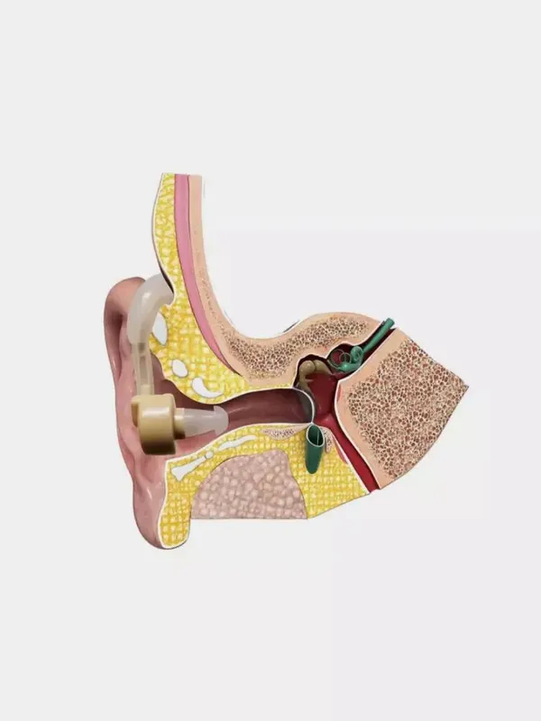 Eshitish aparati - Cyber Sonic Sound Amplifier — фото 4