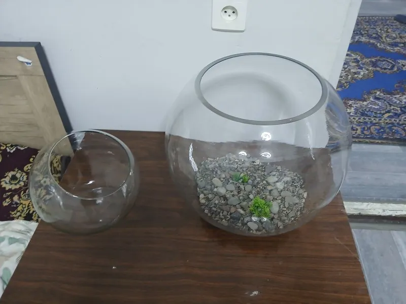 Agar akvarium sotib olsangiz, sovg‘a sifatida yana 5 litrli 1 ta beriladi 3 Agar akvarium sotib olsangiz, sovg‘a sifatida yana 5 litrli 1 ta beriladi 3
