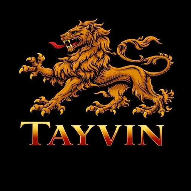 tayvin.uz