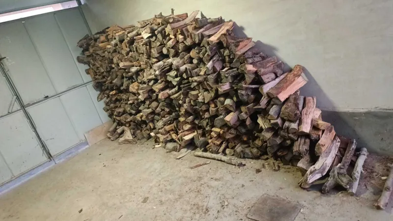 Ótin Драва mevali daraht — фото 5