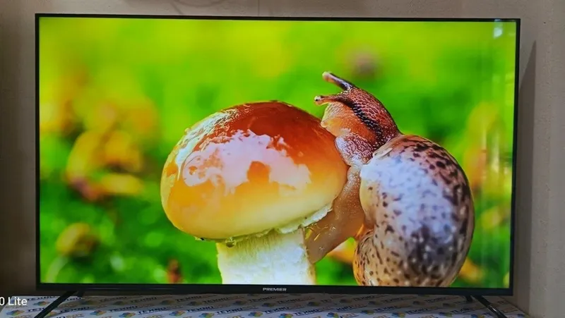 Телевизор Premier 55" — фото 1