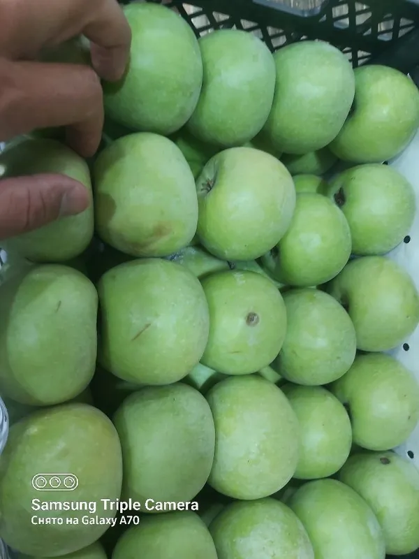 Семеренка яблоко