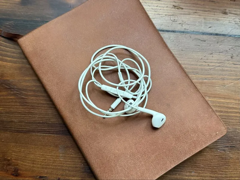 Apple EarPods оригинал