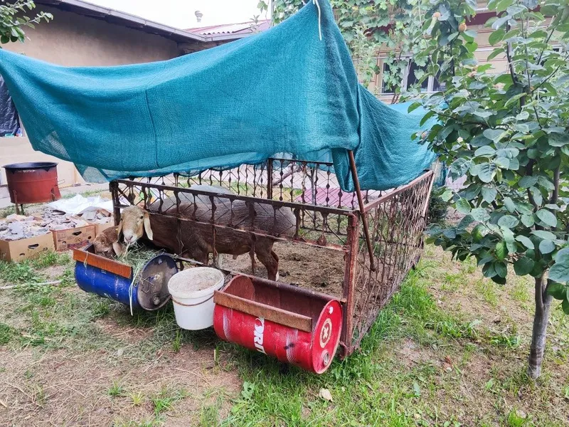 Темир панжарали кура 2