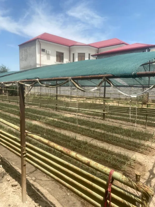 Yunusobod tumani tiklanish mahalada yer sotiladi srochna — фото 2