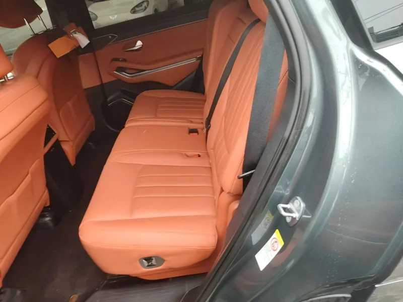 BYD Tang L, 670km Flagship 10