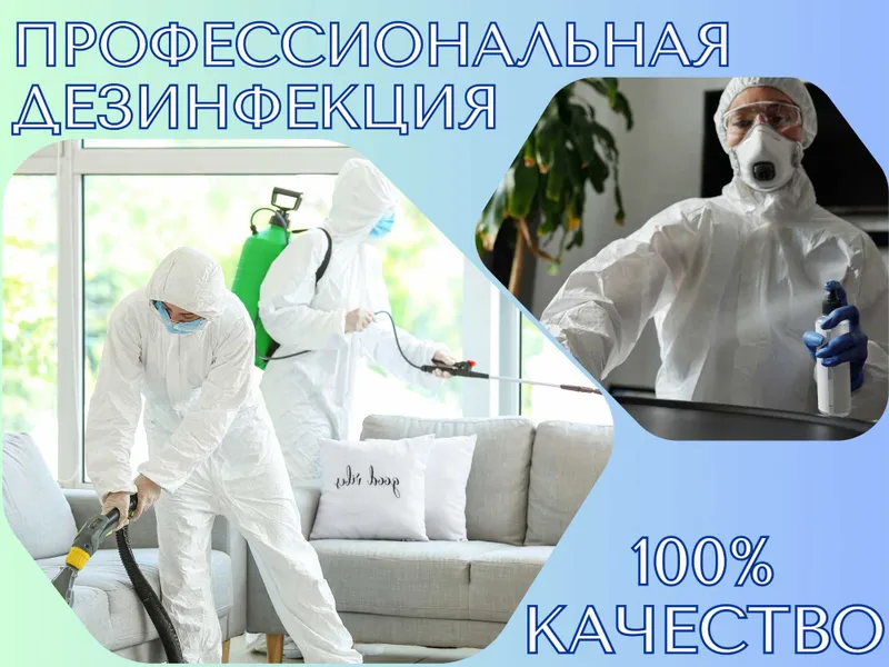 Дезинфекция клопов дезинфекция от клопов dezinfeksiya klapa klopa