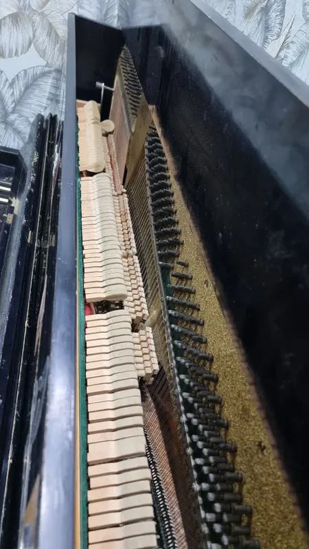 Piano Belarus Sotiladi — фото 2