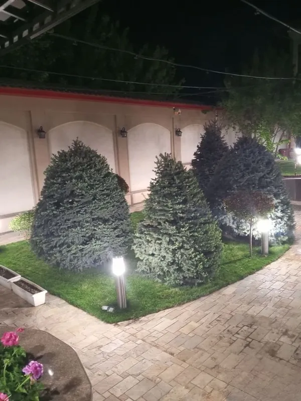 Lanshaf Archa kesish gazon ekish xizmati 4 Lanshaf Archa kesish gazon ekish xizmati 4