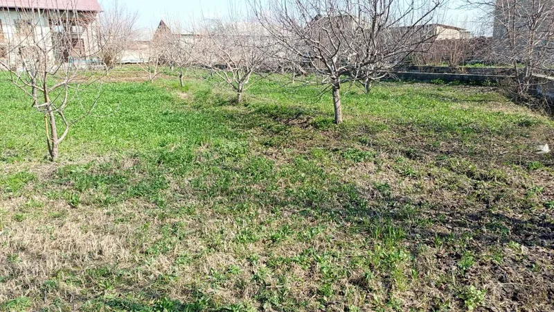 7 so'tiq - Oqdaryo tumani/ Dahbet shaharchasi/ Bozorjoy mahallasi — фото 3
