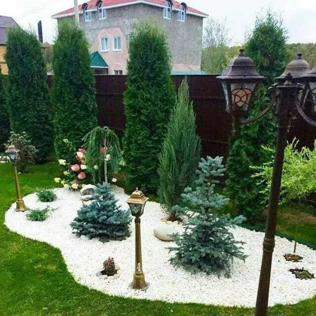 Обрезка арчи, посадка газона, ландшафт, полив 7