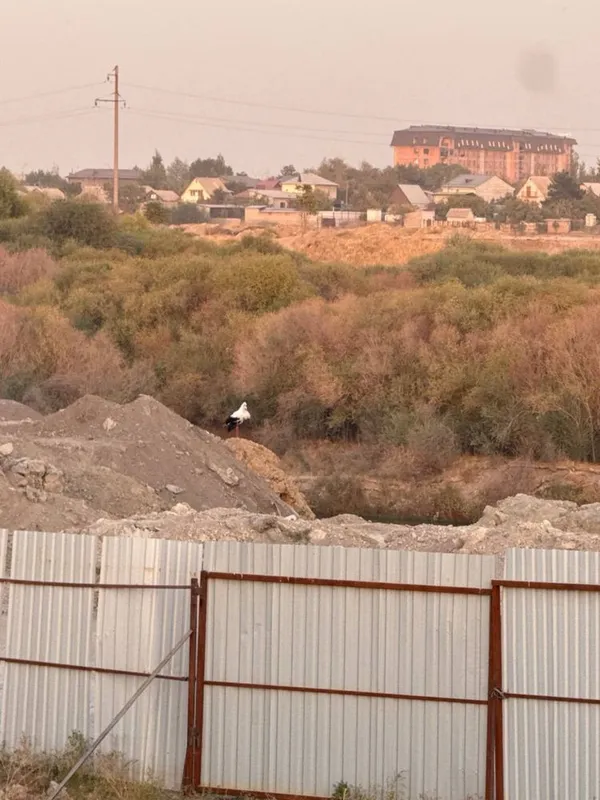 Незавершенный дом, вдоль речки, в Ташкентской области — фото 1