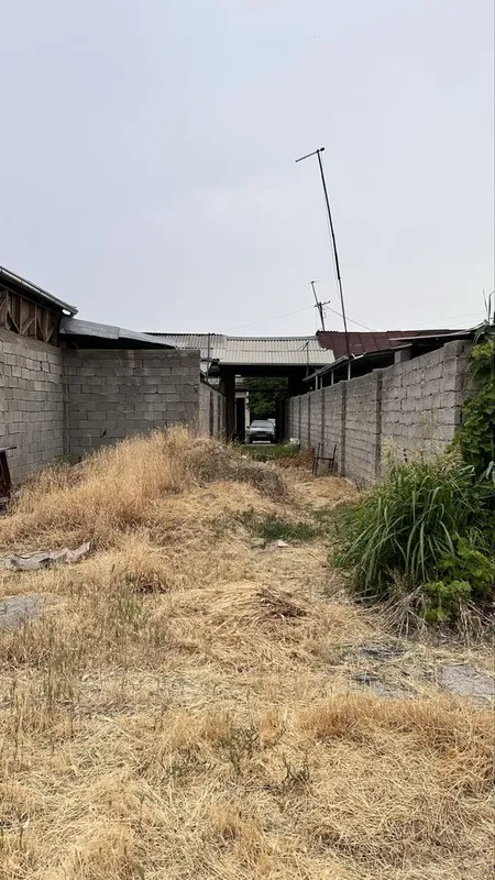 Keles olmazor kochada tezlik bilan yer sotiladi — фото 3