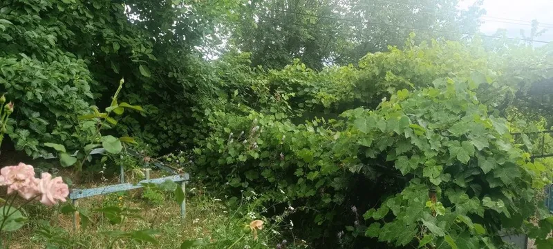 Чарвак дача участок 6,5 соток в центре Чарвака кадастра, дом бассейн — фото 1