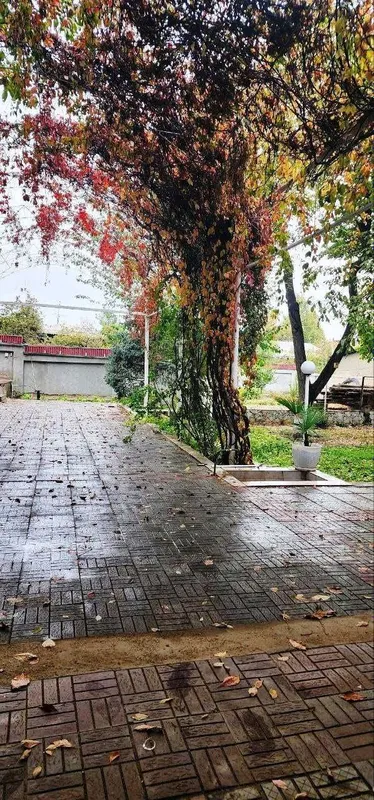 Коммерческая здание 1.4 Га массив Корасув — фото 2