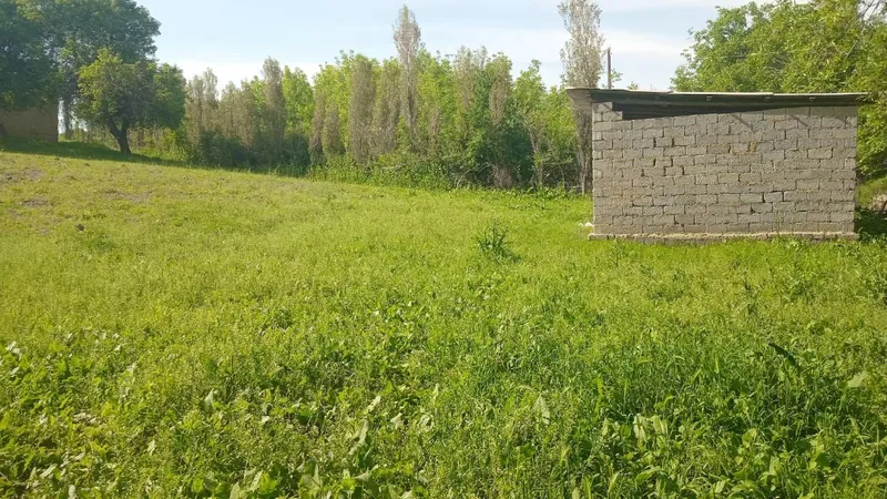 uchastka sotiladi Yuqori chirchiq tumani 22 sotx 2 uchastka sotiladi Yuqori chirchiq tumani 22 sotx 2