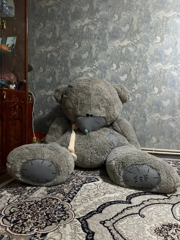 Teddi sotiladi Teddi sotiladi