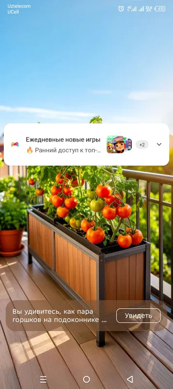 Biogomus bor koliforniya