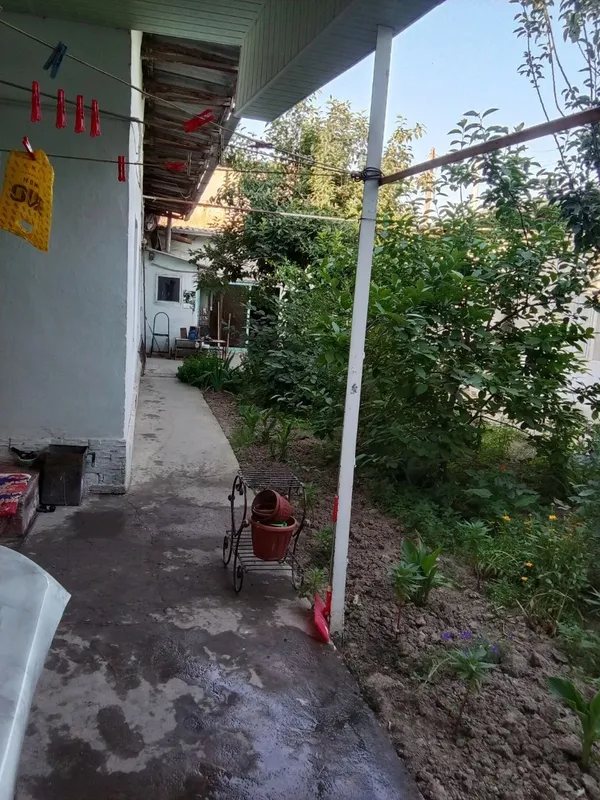 Uyimni sotaman, 4,43 sotix yer. 1