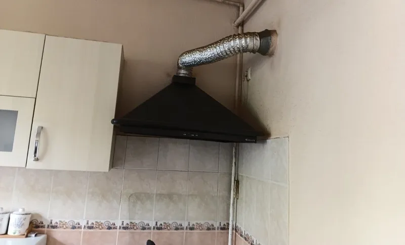 Vitichka (vitec) brendida 75 sm 60 sm
