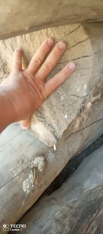 Балка.. кругляк. Бусинка 6