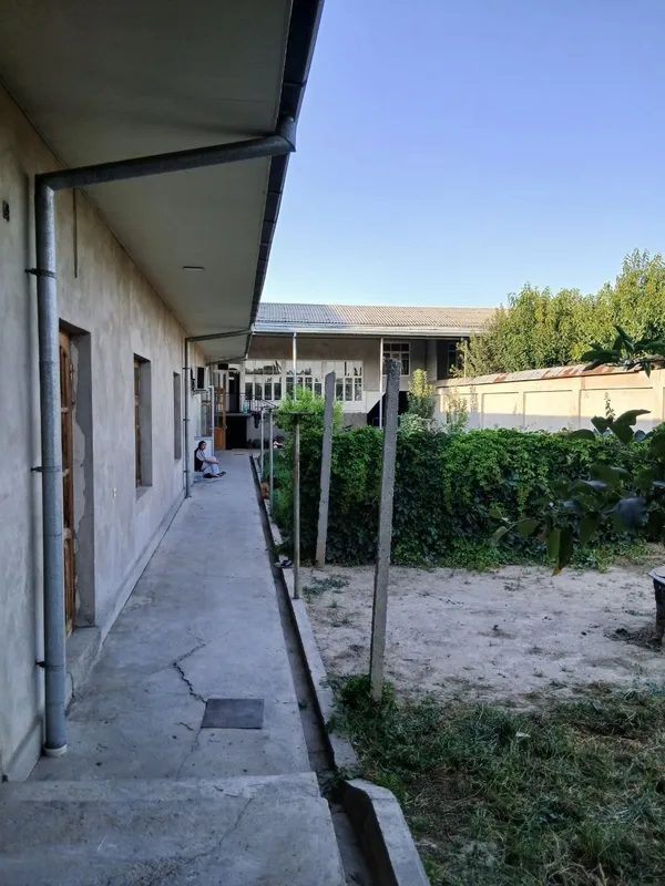 Yangi xayotda uchastka 13 sotox.25000 sotiladi 4