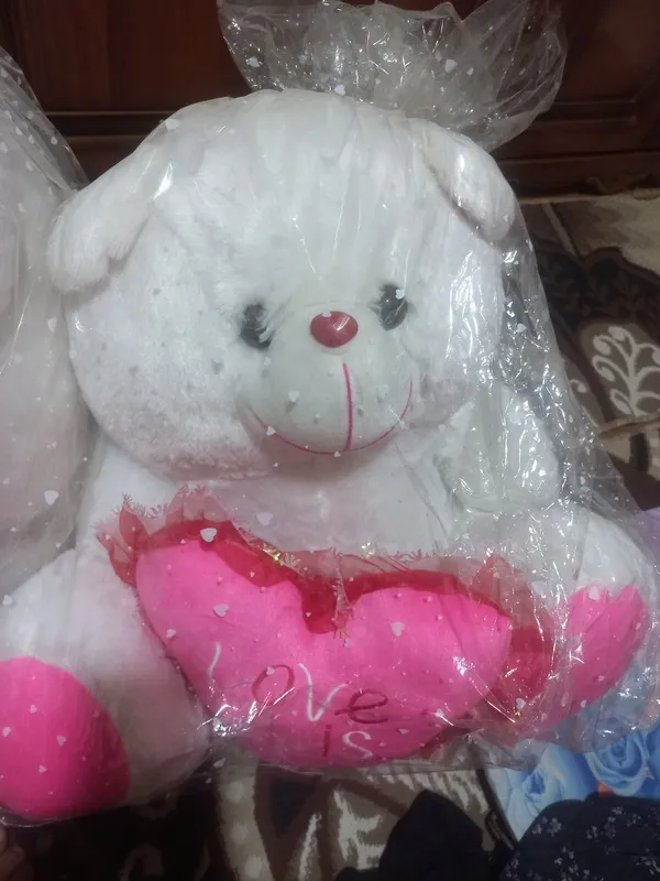 Yangi oq rangdagi ayiqlar 2