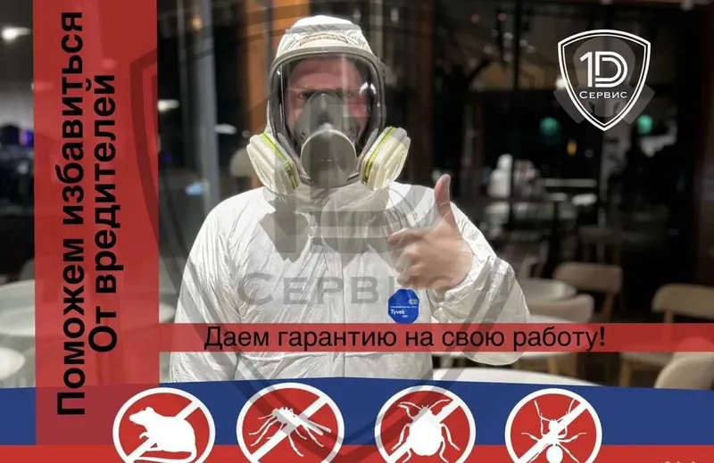 Dizinfeksiya klapa chumoli tarakan дезинфекция дезинсекция dezinfeksiy Dizinfeksiya klapa chumoli tarakan дезинфекция дезинсекция dezinfeksiy