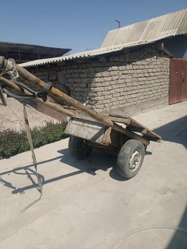 Eshak arava sotiladi Soglom kuchli erkak eshak sotiladi — фото 4