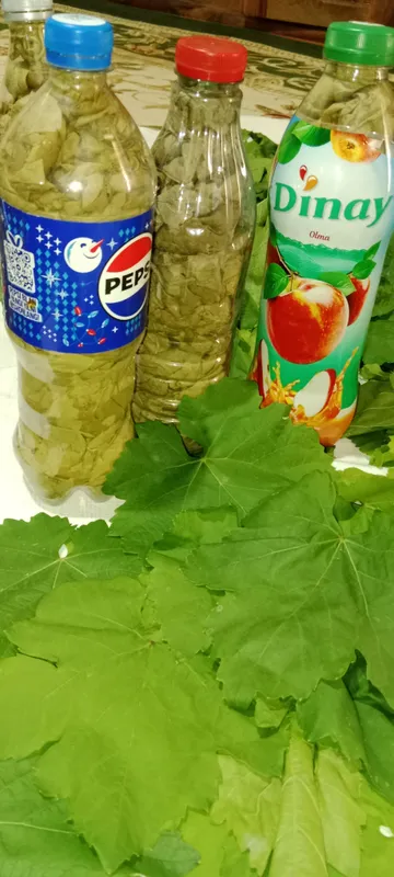 qish uchun tok barg katta katta yopilgan yaxshi