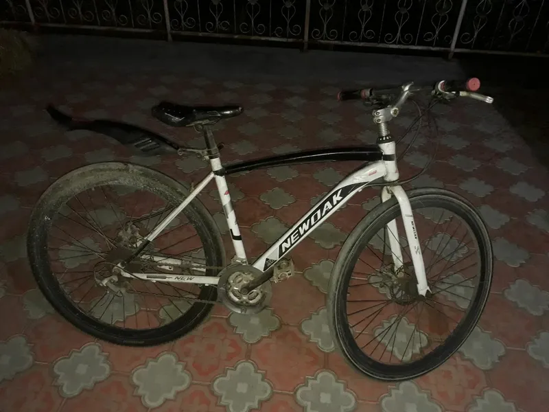 Velosiped gonchik