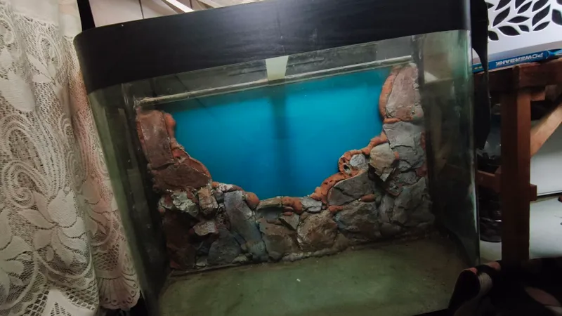 аквариум 2 аквариум 2