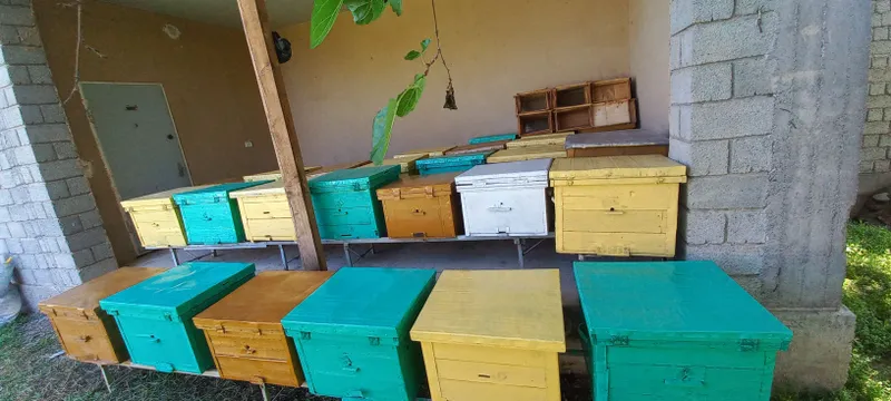 Продаю пчело улии30 штук со всеми принадлежностям