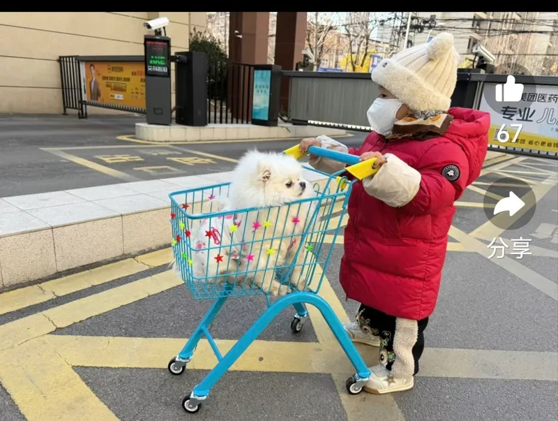 bolalar kprzinkasi