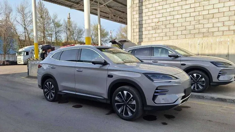 BYD chempion ulgurib qolamz 4
