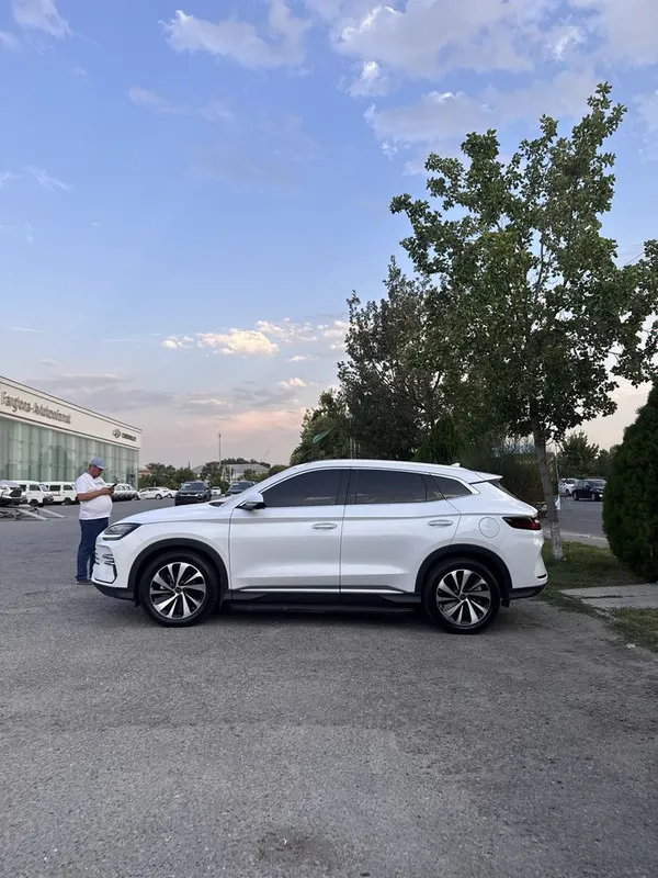 Byd champion dm-i gibrid продается — фото 2