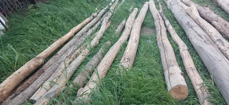 Tosinla bor sotiladigan 3 Tosinla bor sotiladigan 3