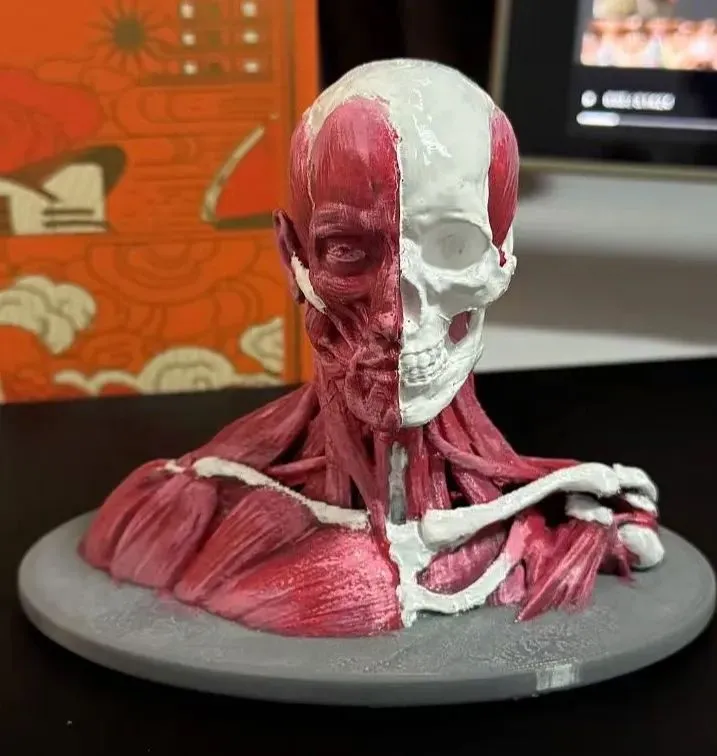 3D printer dizayn va rekonstruksiya hizmati Medical prototivlar. — фото 7