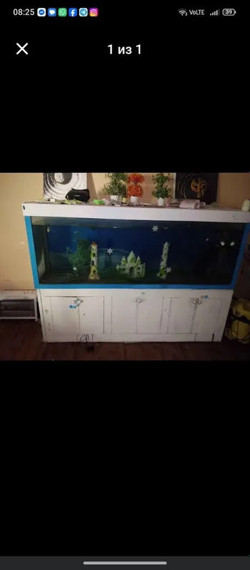 750 litrli akvarium sotiladi 2
