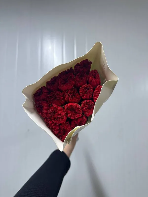 Гвоздика в наличии — фото 6