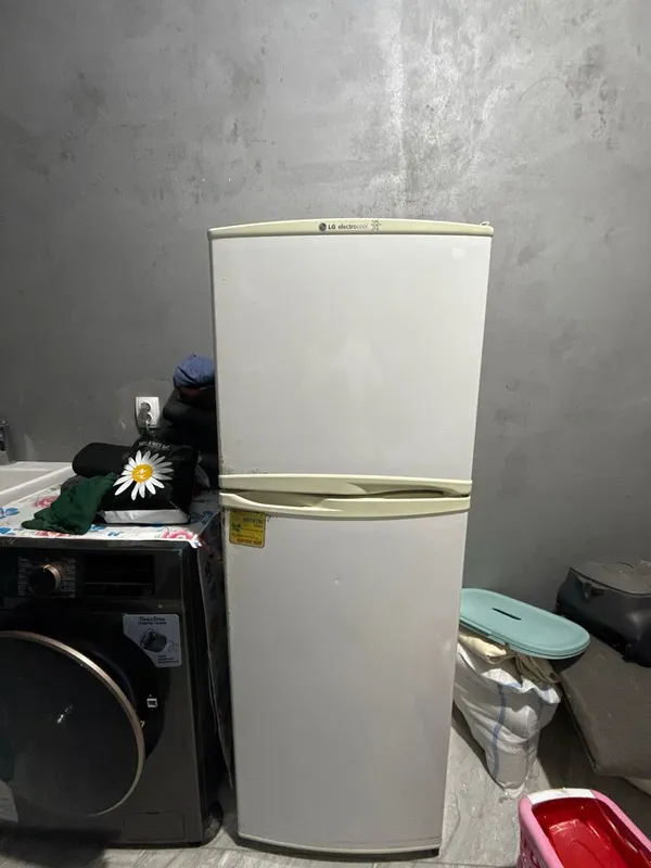 Xadilnik Lg electrocool 1