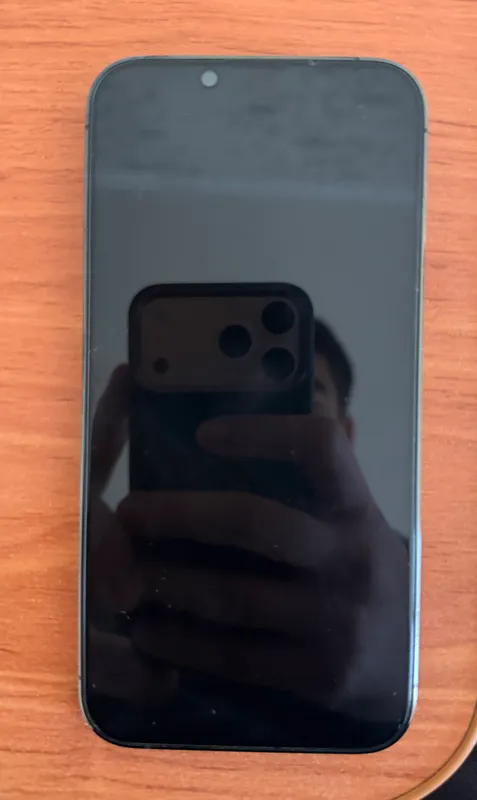 iPhone 13 Pro 128 GB | Alpine Green | $380 2