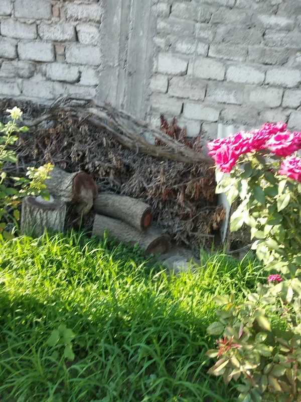 Продаю дрова. 2 Продаю дрова. 2