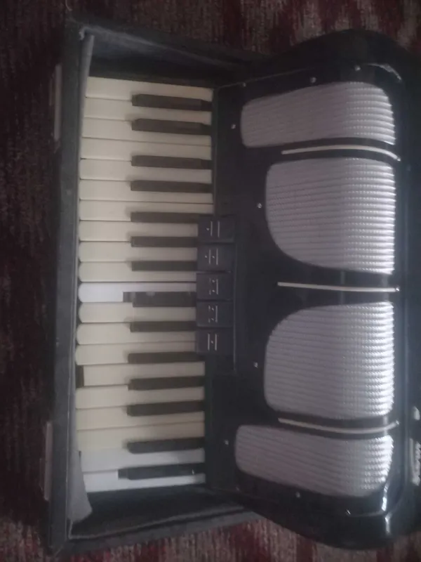 Akkardion... Muzikalnaya 1