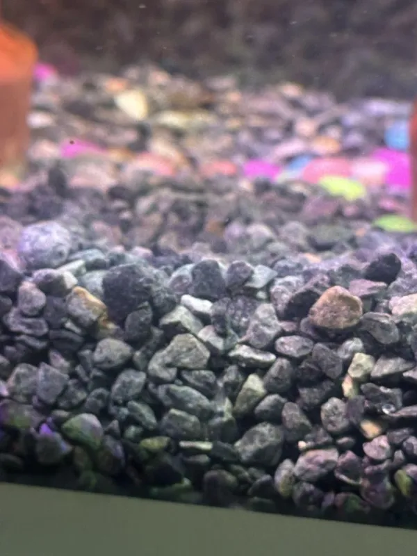Akvarium toshlari 20kg+