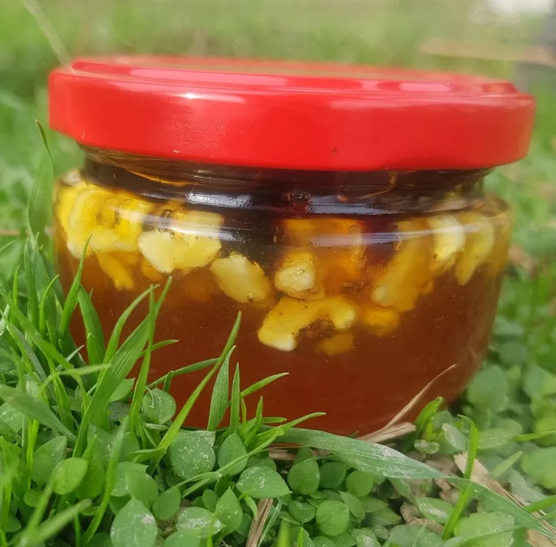 Продаю Мёд горный — фото 2