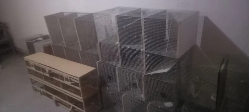 Нархини келишамиз 1 Нархини келишамиз 1